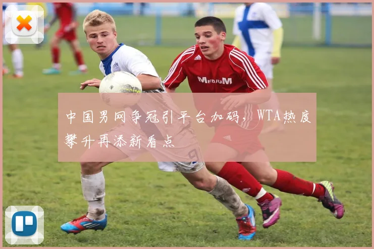 中国男网争冠引平台加码，WTA热度攀升再添新看点