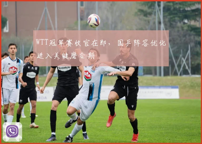 WTT冠军赛收官在即，国乒阵容优化进入关键磨合期